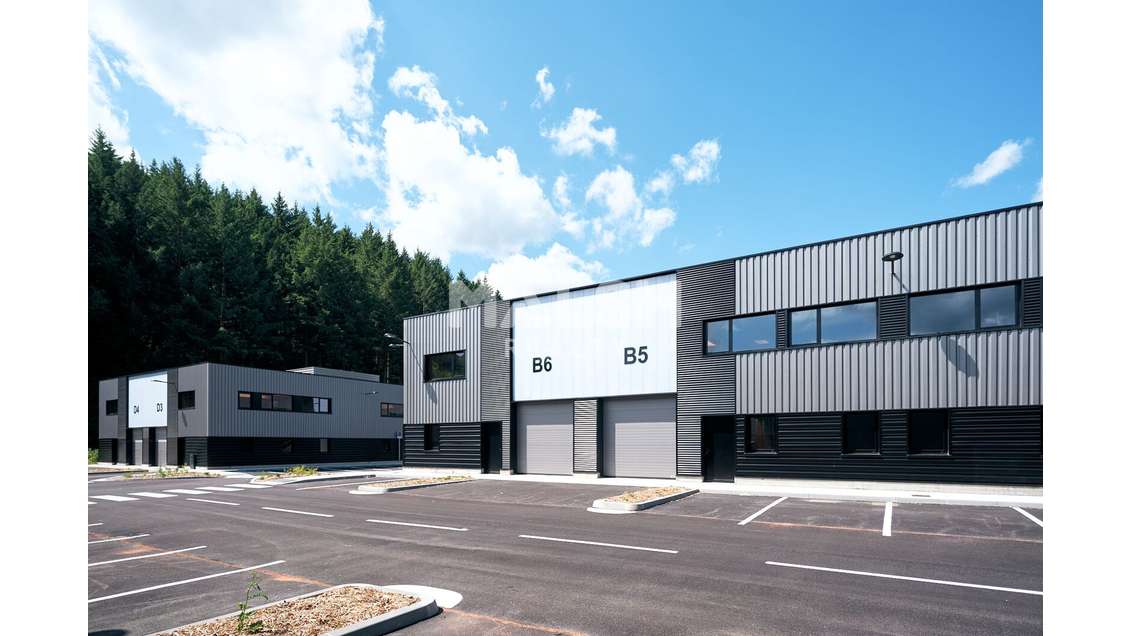 Vente local d'activité 5207m² divisible à Tarare