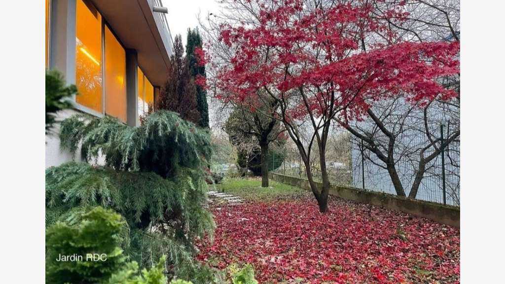 Vente local d'activité bureaux 987m² à Annemasse