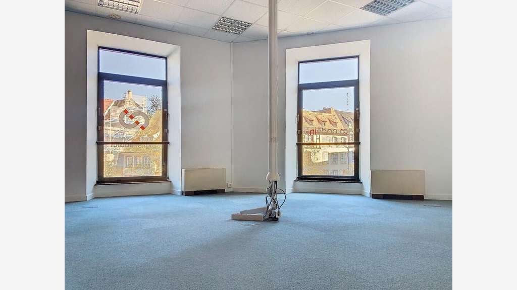 AV locaux professionnels Strasbourg Petite France