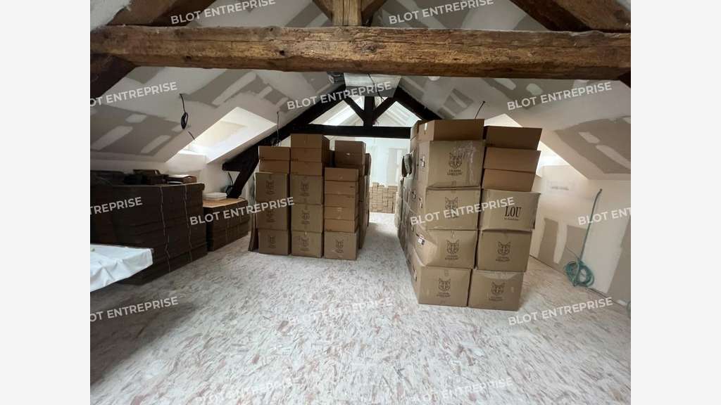 À vendre magnifique manoir 600m² aux Sorinières