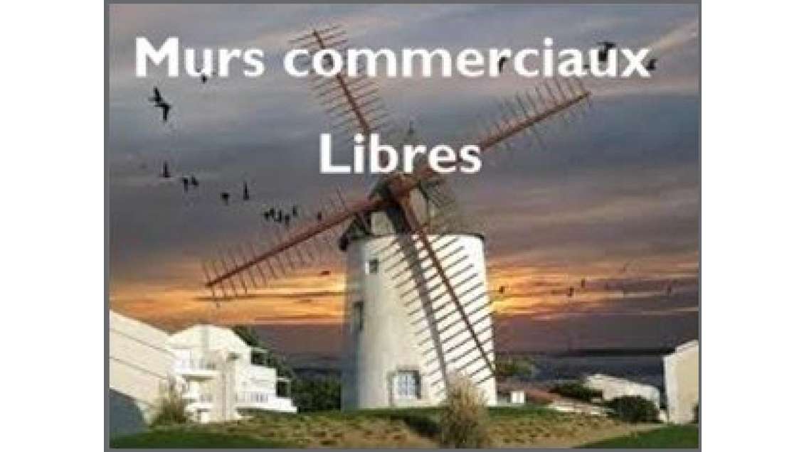 Opportunité murs libres port de plaisance Jard/Mer