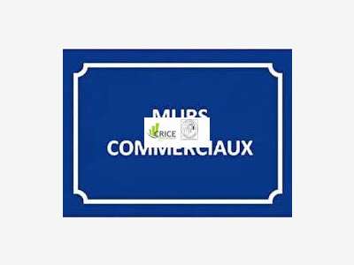 Vente murs libres de 250m² sur l'Ile d'Oléron 17