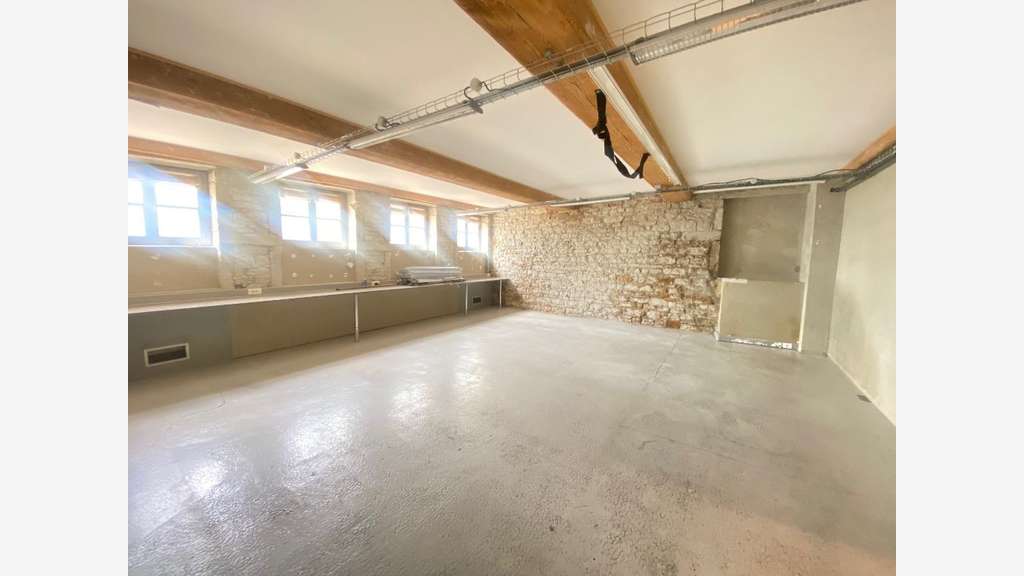 Murs 335m² à vendre Lyon 69001 atypique