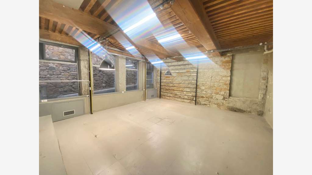 Murs 335m² à vendre Lyon 69001 atypique