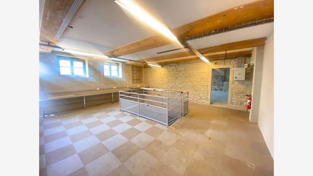 Murs 335m² à vendre Lyon 69001 atypique