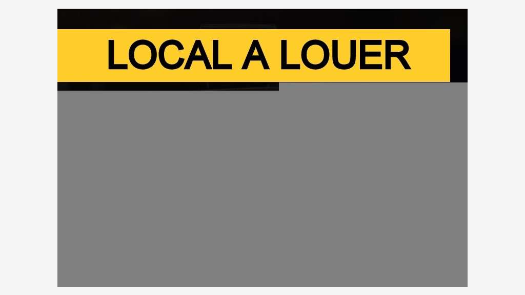 Local de 52m² à louer à Lyon rue de la République