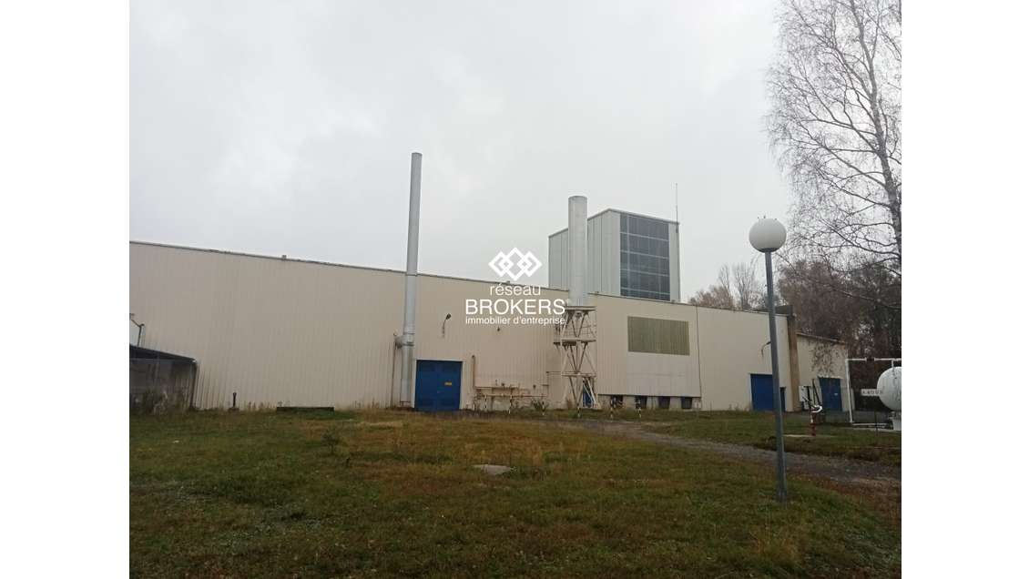 Vente site industriel 2700m² à Lannemezan ZI