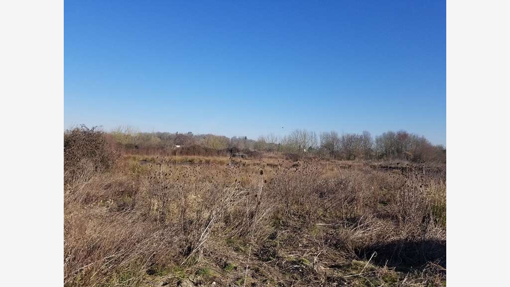 Terrain agricole 5.6ha à vendre à Bruges