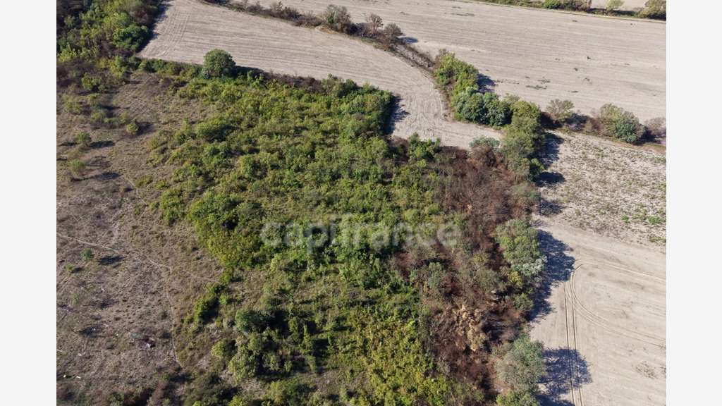 Terrains agricoles 3 hectares
