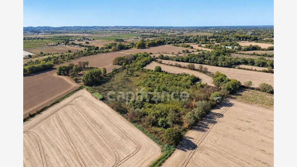 Terrains agricoles 3 hectares