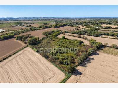 Terrains agricoles 3 hectares
