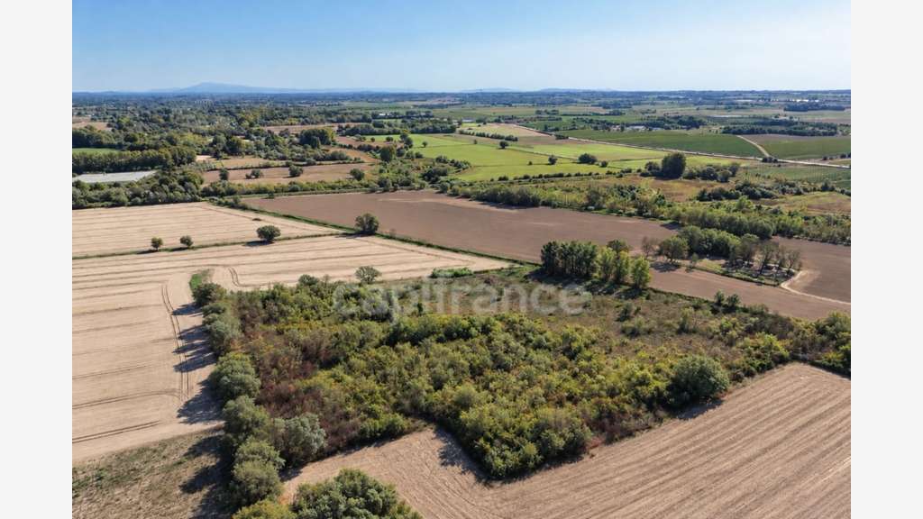 Terrains agricoles 3 hectares