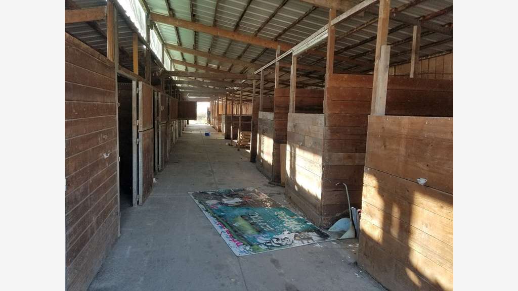 Terrain pour chevaux 600m² à vendre à Bruges