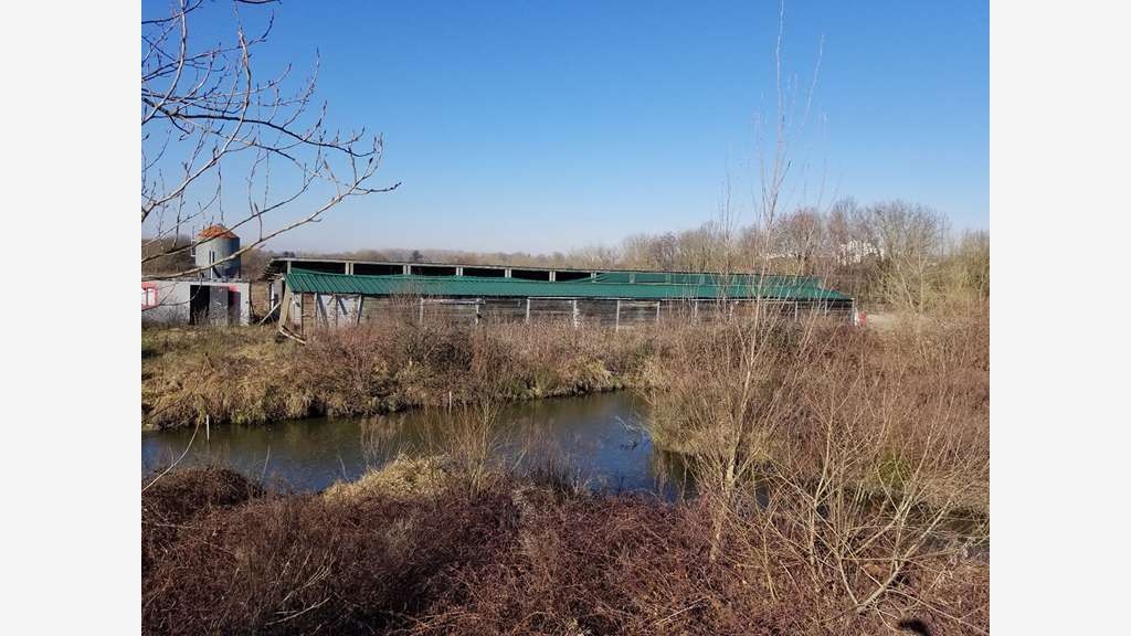 Terrain pour chevaux 600m² à vendre à Bruges