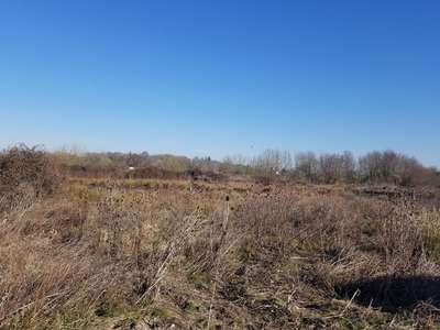 Vente Terrains industriels et agricoles à Bruges