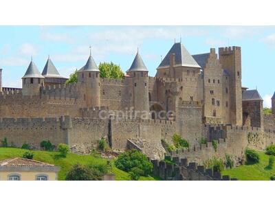 Vente Terrains industriels et agricoles à Carcassonne