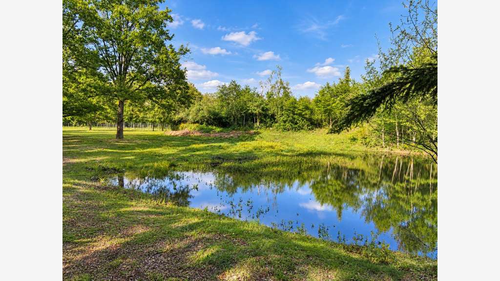 Magnifique terrain de loisir à Conflans-sur-Loing