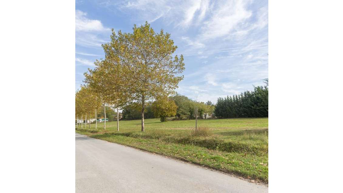 À vendre terrains de 7000m² à 110000m² à Drevant 