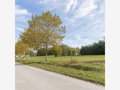 À vendre terrains de 7000m² à 110000m² à Drevant 