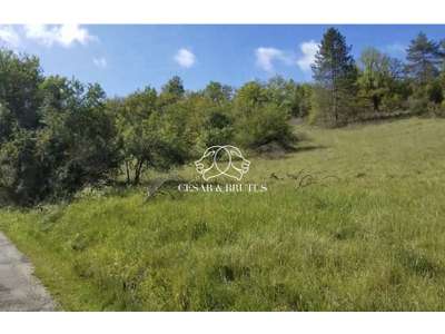 Vente Terrains industriels et agricoles à Calamane
