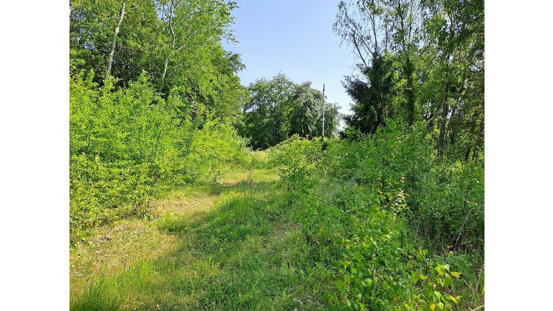 Terrain à vendre en lisière de forêt de Compiègne