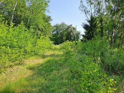 Terrain à vendre en lisière de forêt de Compiègne