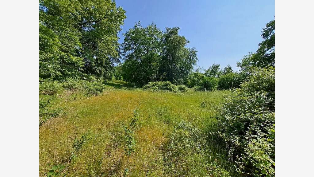 Terrain à vendre en lisière de forêt de Compiègne