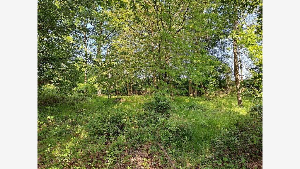 Terrain à vendre en lisière de forêt de Compiègne
