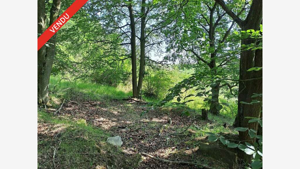 Terrain à vendre en lisière de forêt de Compiègne
