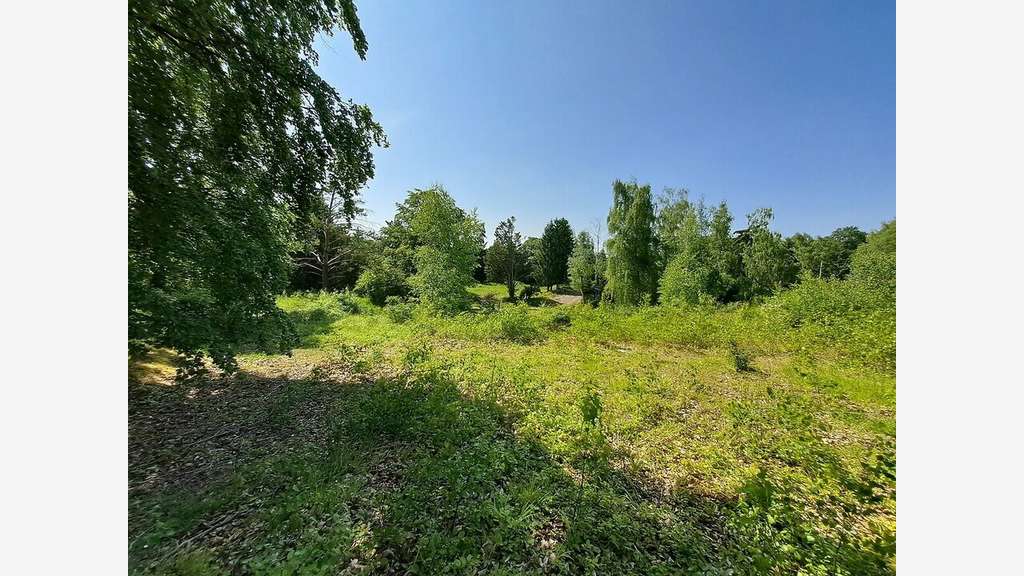 Terrain à vendre en lisière de forêt de Compiègne