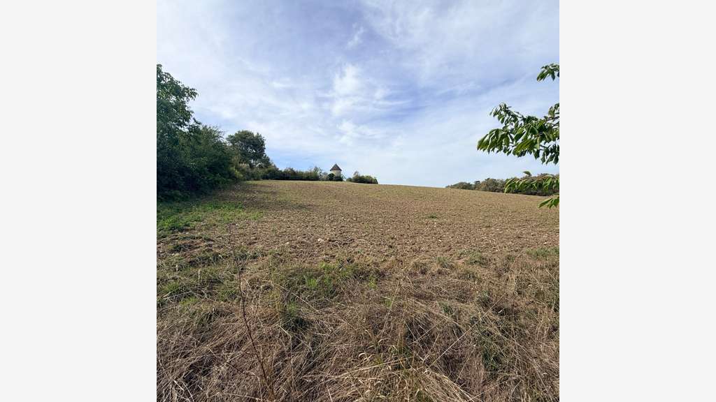 Vente terrain agricole 4000m² à La Plume