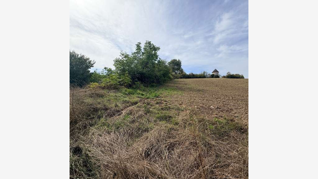 Vente terrain agricole 4000m² à La Plume