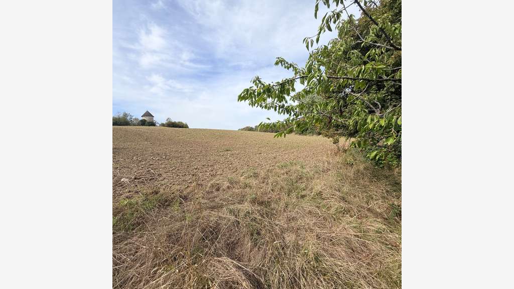 Vente terrain agricole 4000m² à La Plume