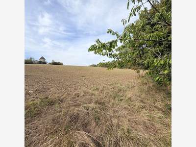 Vente terrain agricole 4000m² à La Plume
