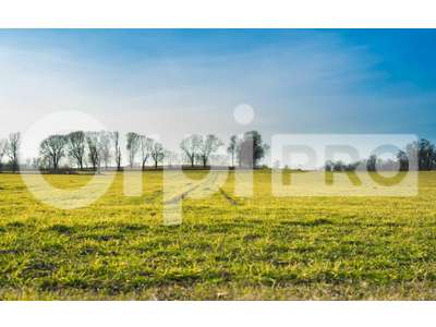 Vente Terrains industriels et agricoles à Pierre-Buffière