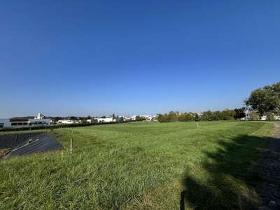 Vente Terrains industriels et agricoles à Sablé-sur-Sarthe