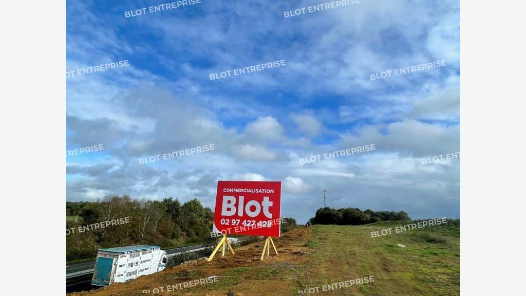 A vendre terrain 12926m² à Saint-Allouestre