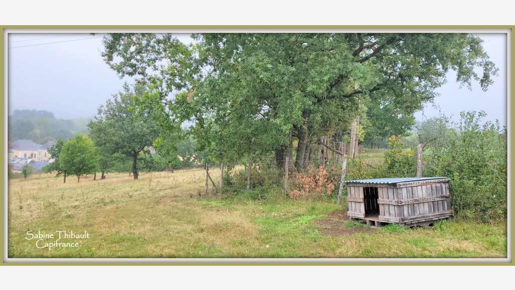 à vendre SAINT GERMAIN D'ARCE terrain agricole