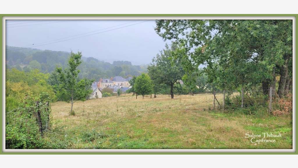 à vendre SAINT GERMAIN D'ARCE terrain agricole