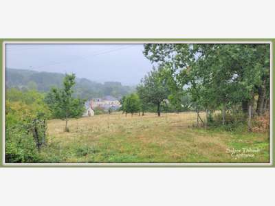 à vendre SAINT GERMAIN D'ARCE terrain agricole