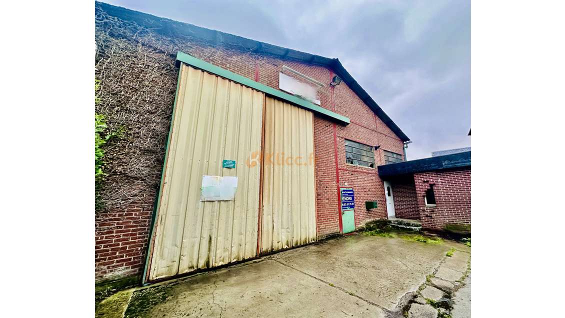 Vente bâtiment industriel 780m² à Luneray centre