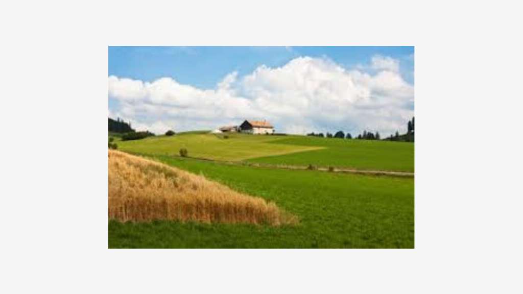 Vente boutique de 770m² avec logement à Colmar