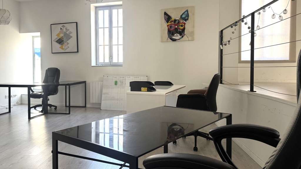Local à usage mixte PRO/ Hébergement type loft de 