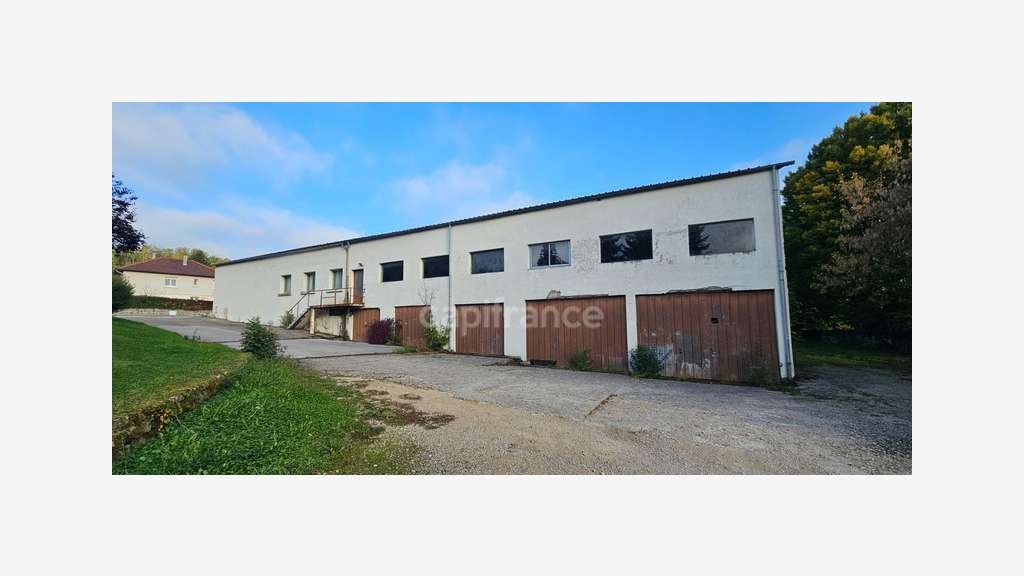 AV bâtiment pro 1 300m² + garages Lons le Saunier
