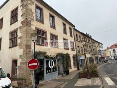 Vente Bureaux à Saint-Avold