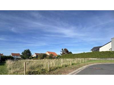 Vente Terrains industriels et agricoles à Saint-Jean-Kourtzerode