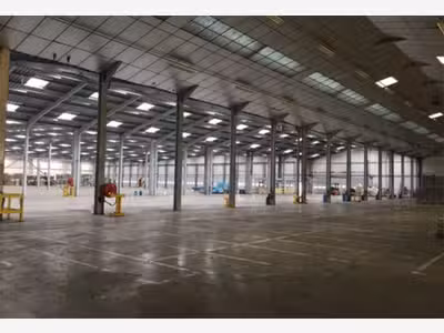 Entrepôt logistique de 12 100m² à Aire-sur-la-Lys