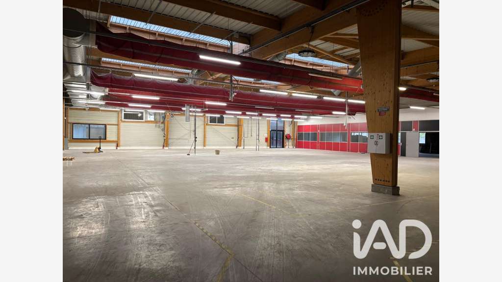 Vente entrepôt récent 3000m² à Berd'Huis