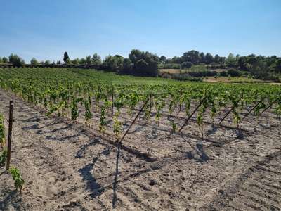 Vente hangar de 138m² construit en 2023 à Lezignan