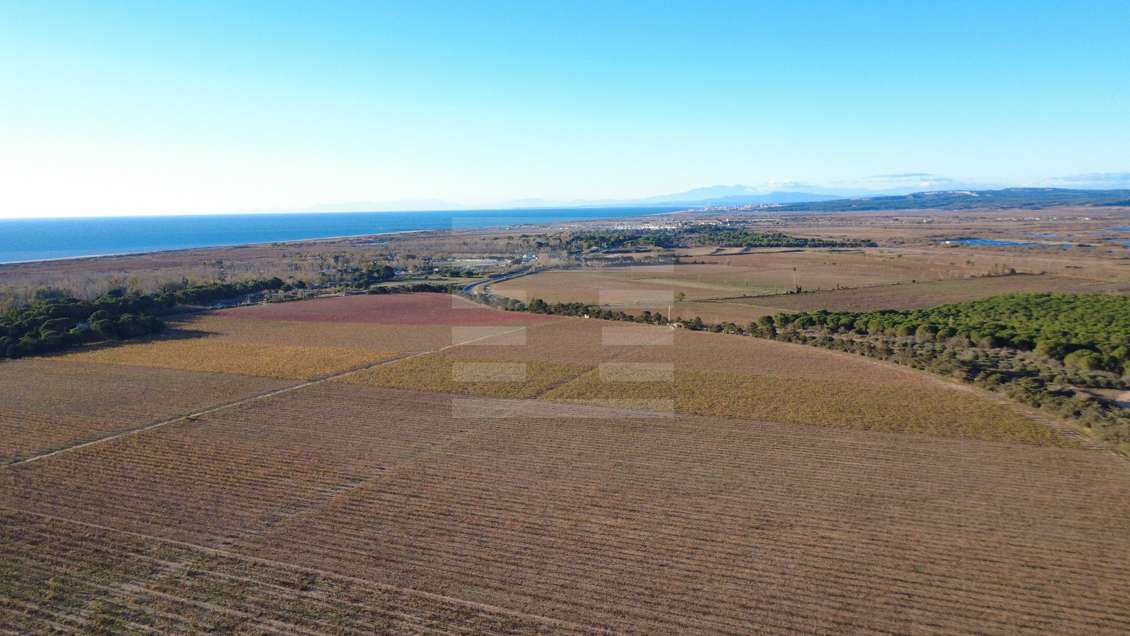 Vente domaine viticole 1800m² à Vendres proche mer